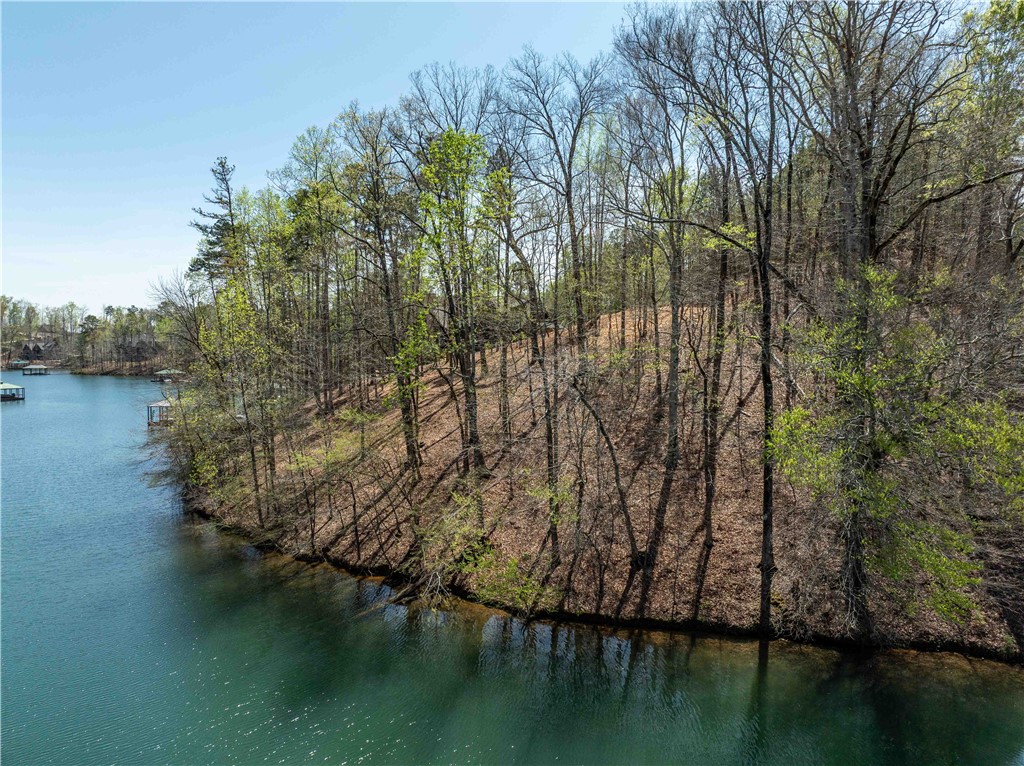 Lot 34 Crystal Cove Trail, Salem, South Carolina image 2