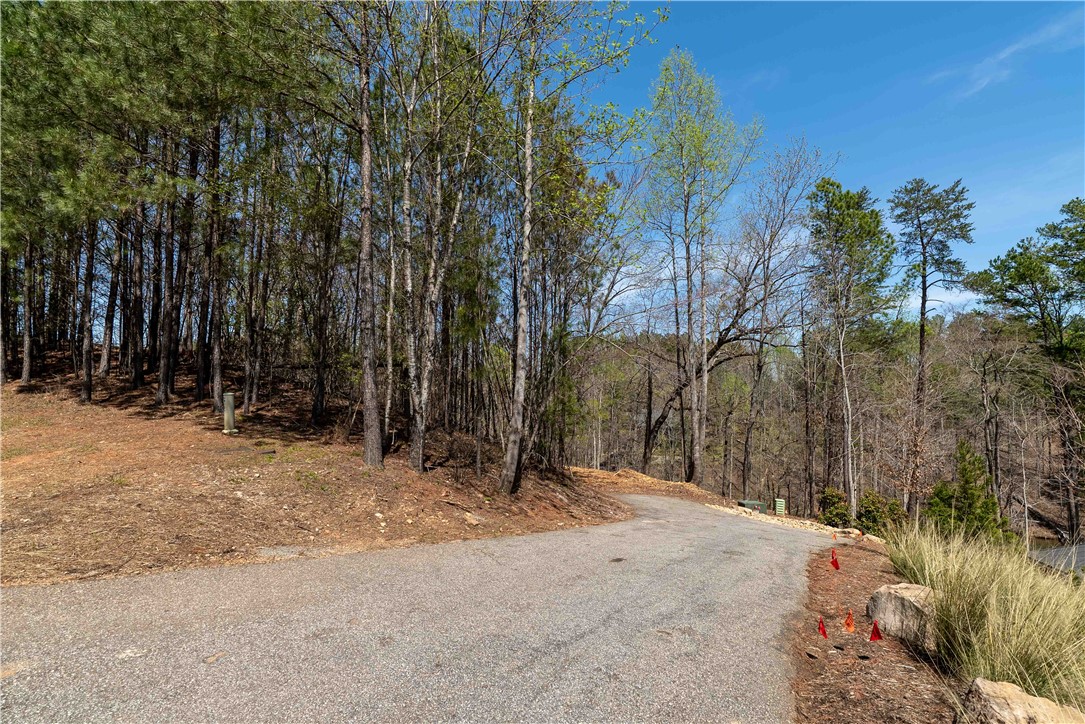 Lot 34 Crystal Cove Trail, Salem, South Carolina image 11