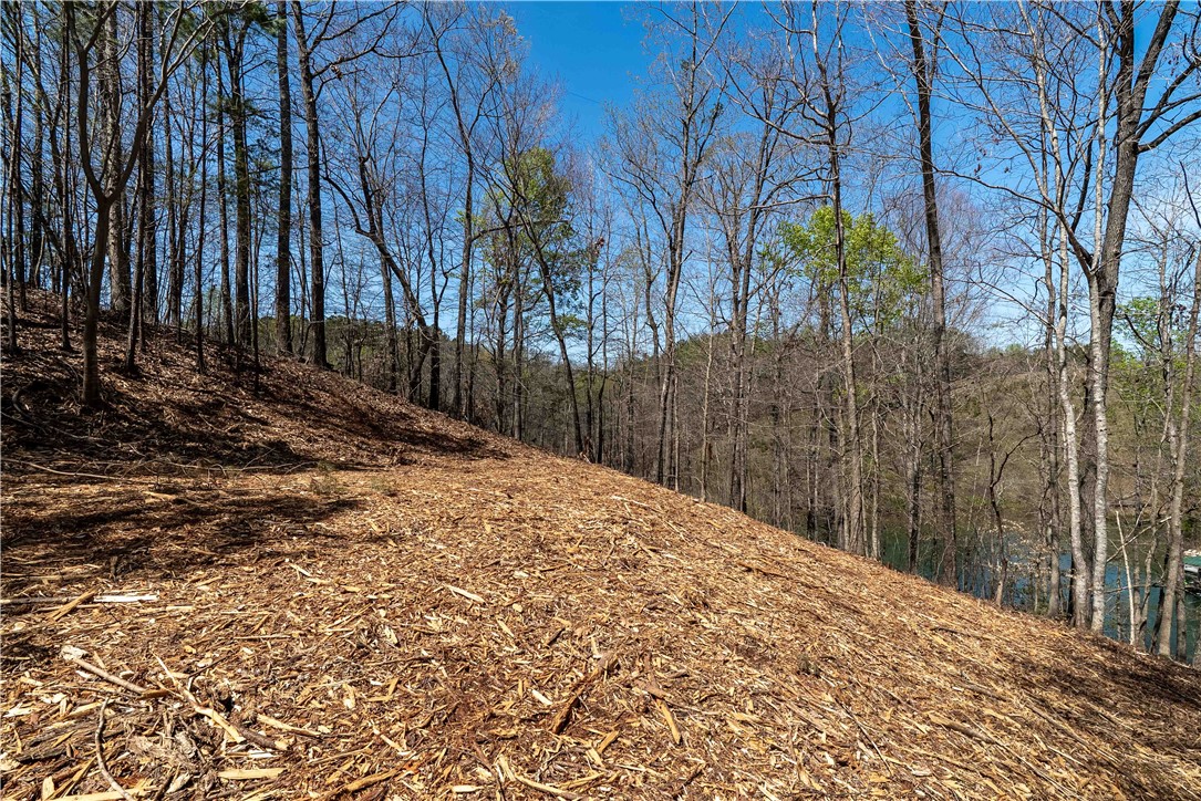 Lot 34 Crystal Cove Trail, Salem, South Carolina image 8