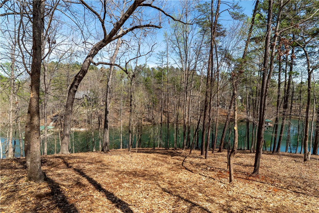 Lot 34 Crystal Cove Trail, Salem, South Carolina image 9