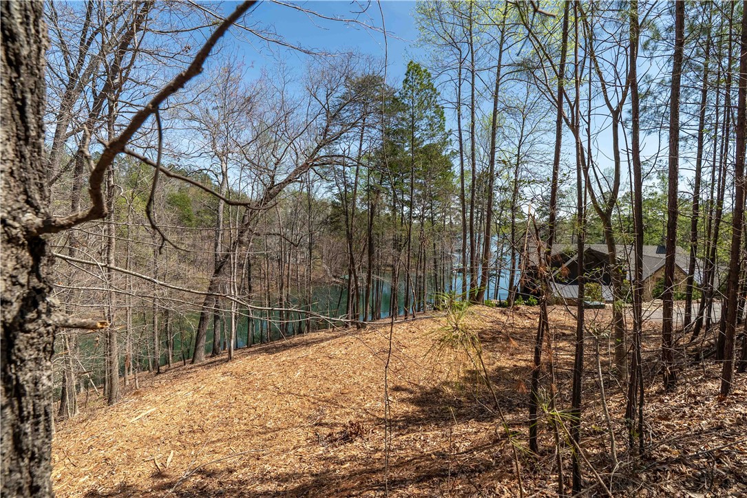 Lot 34 Crystal Cove Trail, Salem, South Carolina image 5