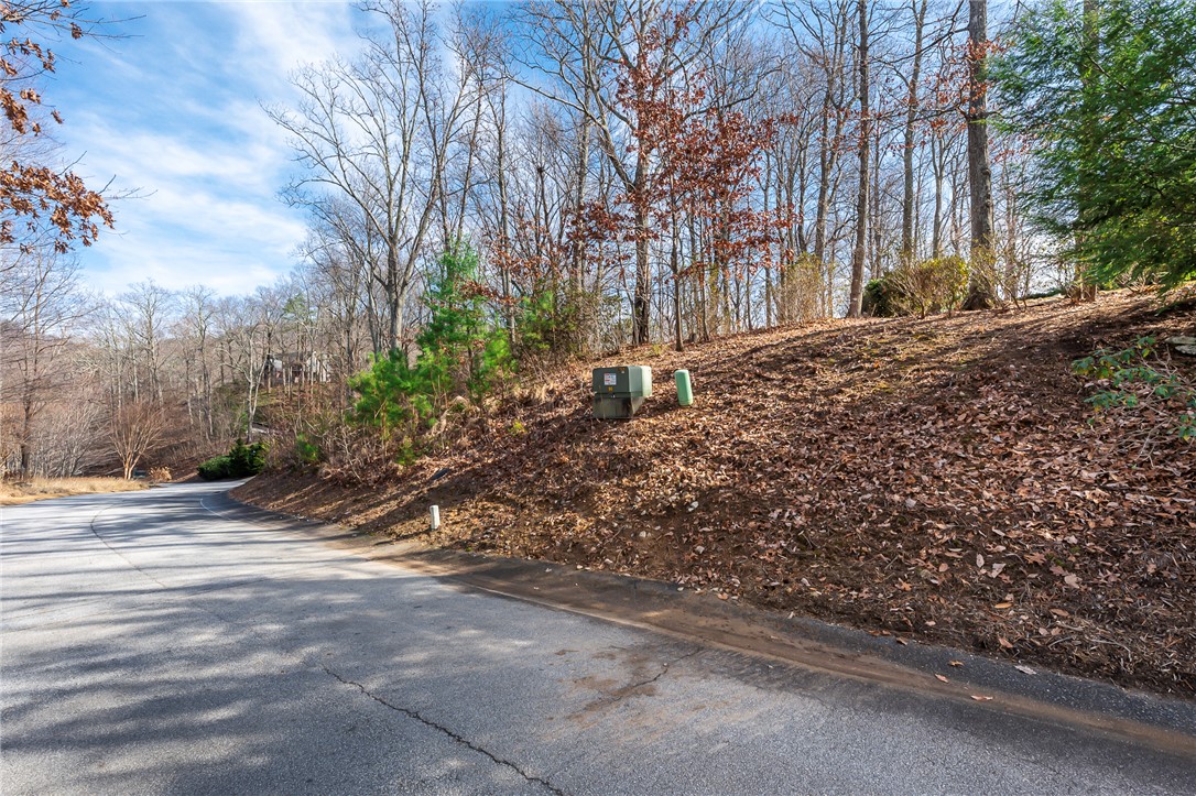 101 Upper Ridge Way, Travelers Rest, South Carolina image 12
