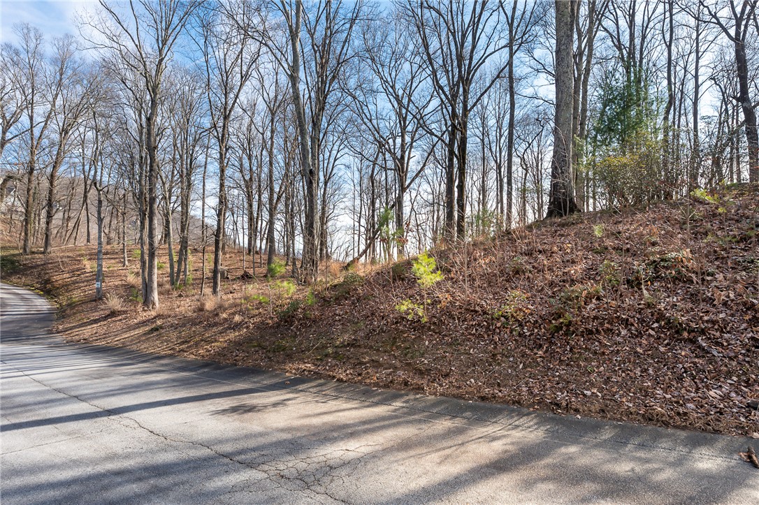 101 Upper Ridge Way, Travelers Rest, South Carolina image 13