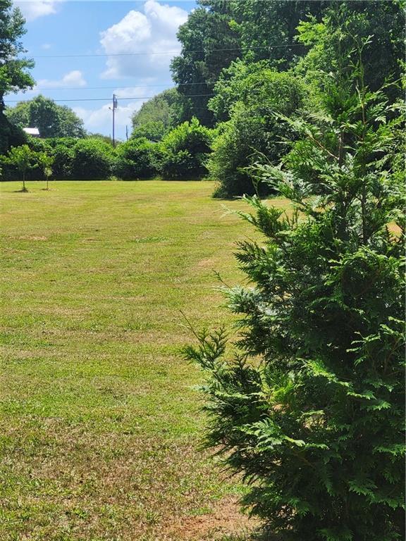 114 Traynum Place, Belton, South Carolina image 31