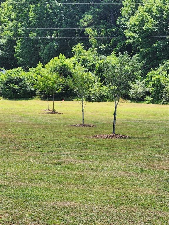 114 Traynum Place, Belton, South Carolina image 32