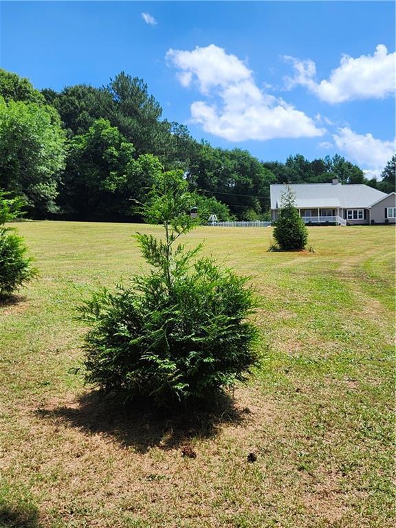 114 Traynum Place, Belton, South Carolina image 34