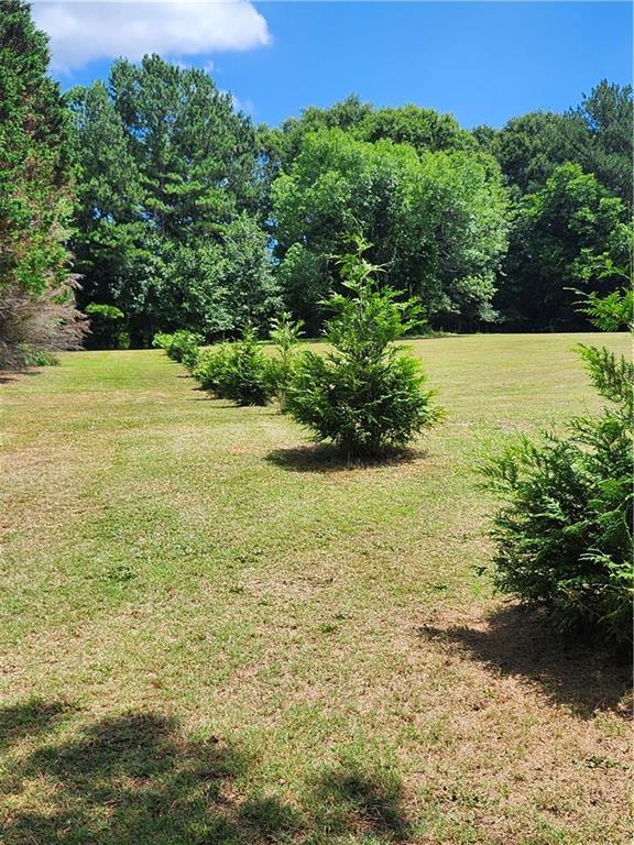 114 Traynum Place, Belton, South Carolina image 36