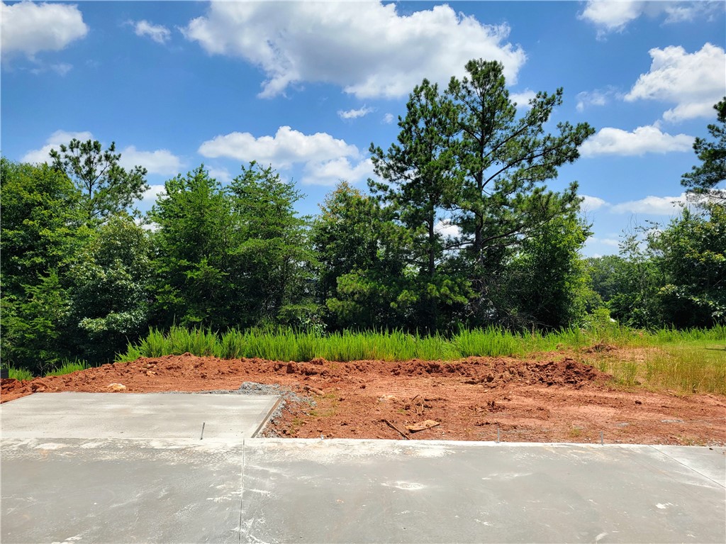 128 Tiger Lily Drive, Anderson, South Carolina image 2