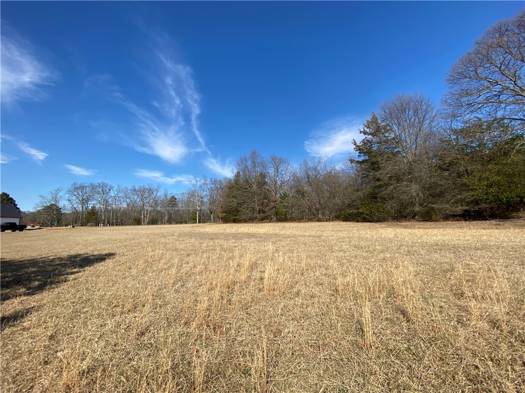 Lot 13 Majestic Shores, Hartwell, Georgia image 1