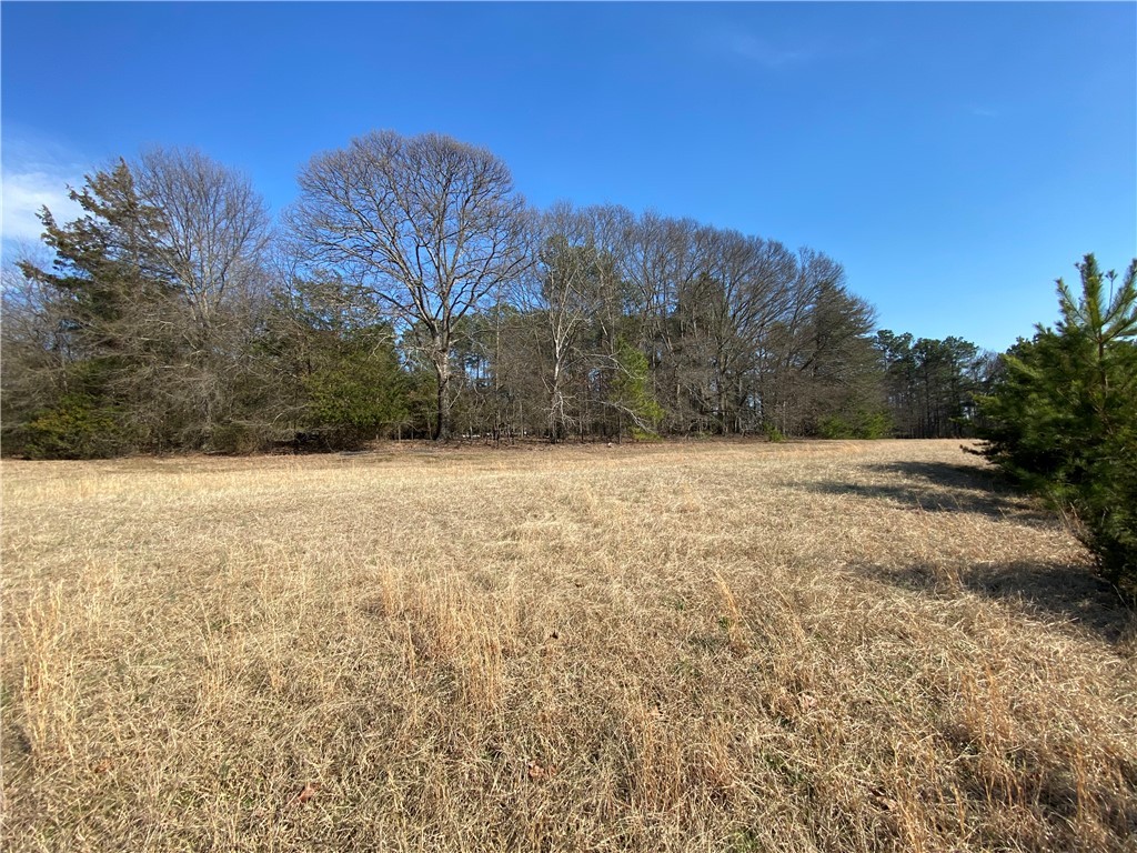 Lot 13 Majestic Shores, Hartwell, Georgia image 2