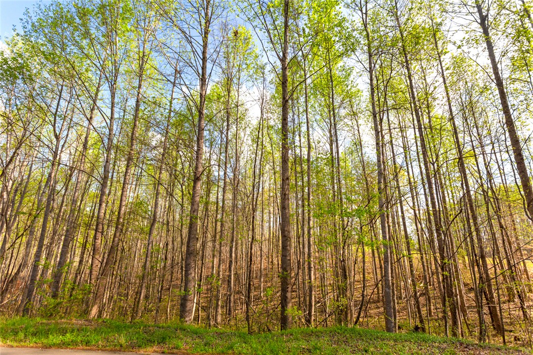 00 Marion Harris Drive, Walhalla, South Carolina image 14