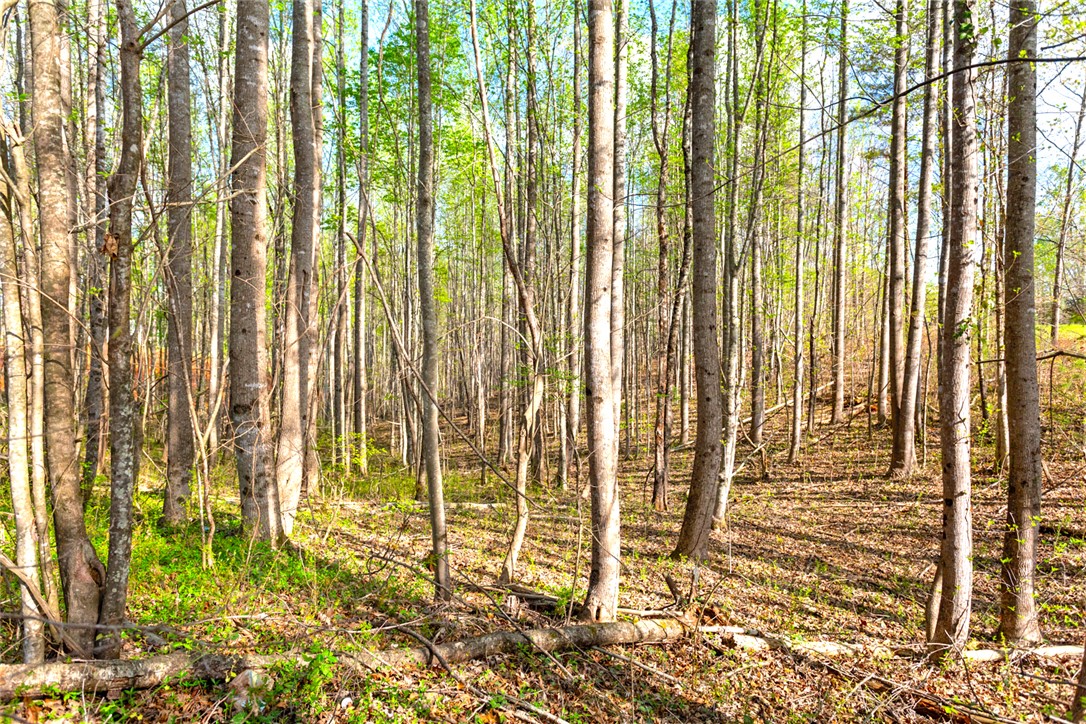 00 Marion Harris Drive, Walhalla, South Carolina image 13