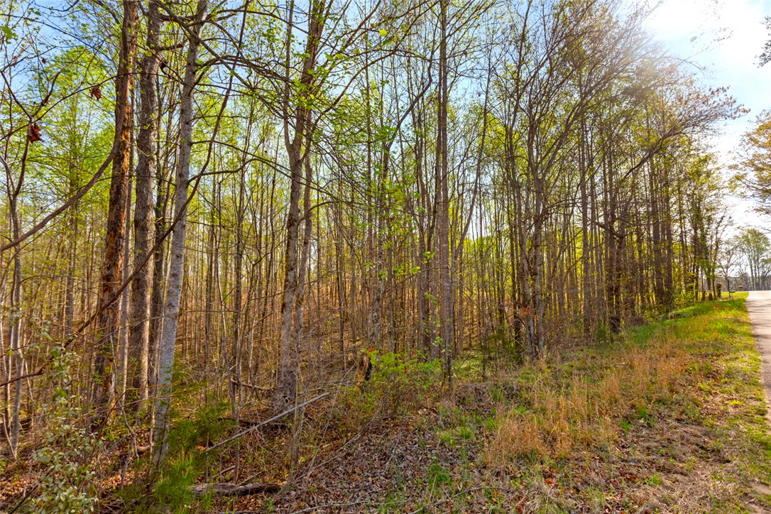 00 Marion Harris Drive, Walhalla, South Carolina image 16
