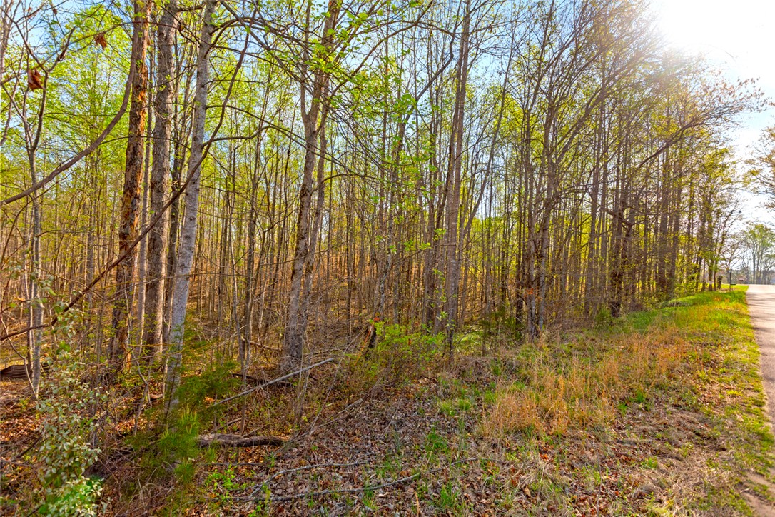 00 Marion Harris Drive, Walhalla, South Carolina image 15