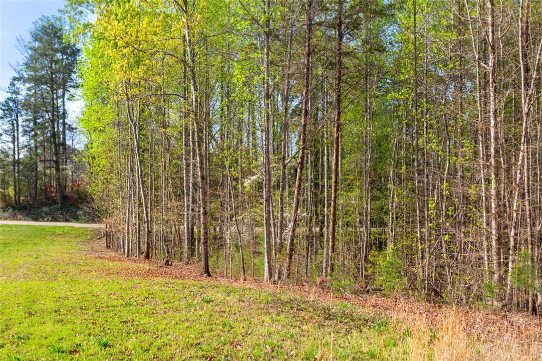00 Marion Harris Drive, Walhalla, South Carolina image 10