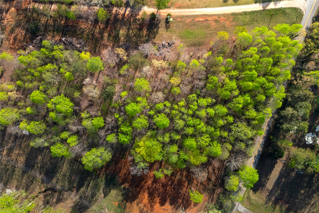 00 Marion Harris Drive, Walhalla, South Carolina image 8