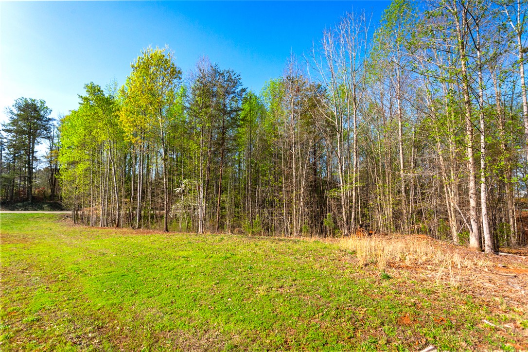 00 Marion Harris Drive, Walhalla, South Carolina image 12