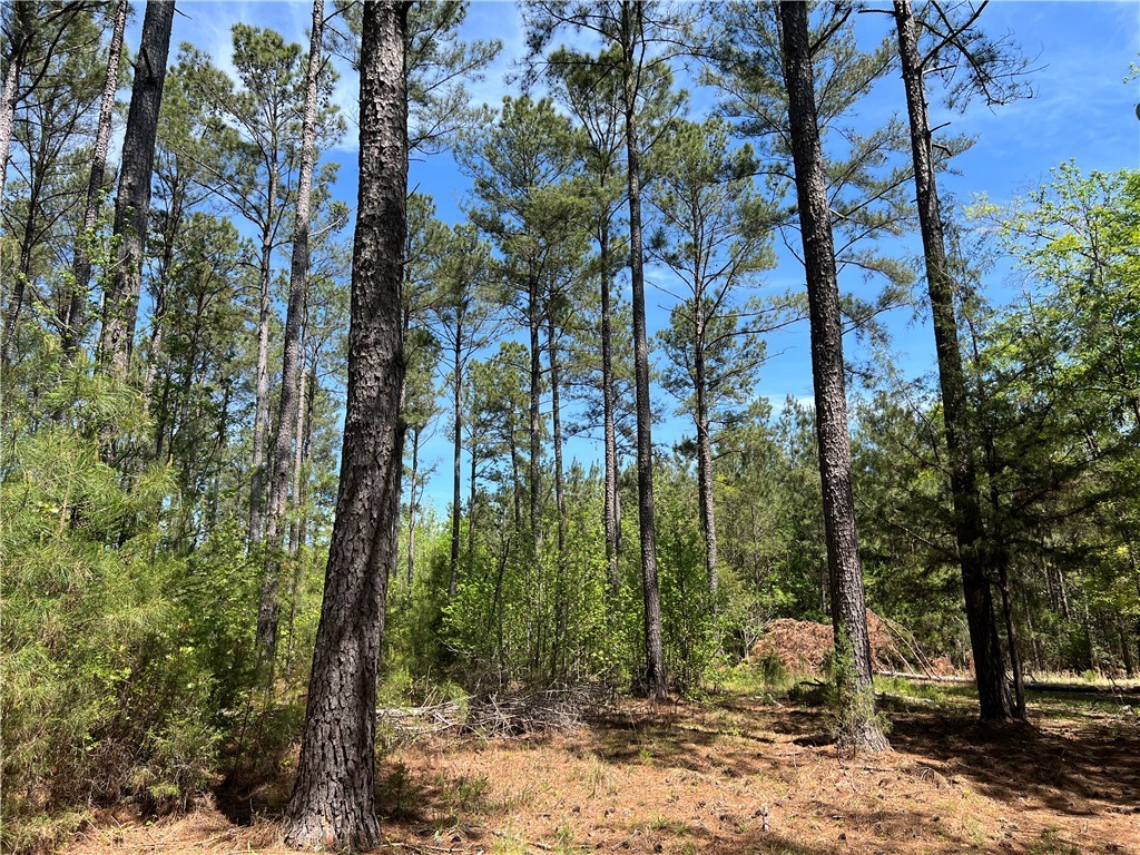 Crawford Road, Due West, South Carolina image 23
