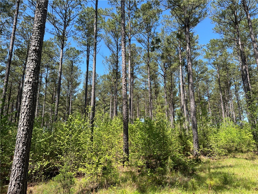 Crawford Road, Due West, South Carolina image 26