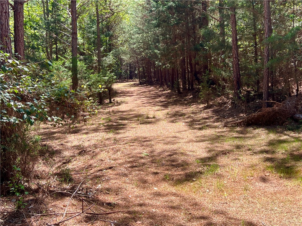 Crawford Road, Due West, South Carolina image 32
