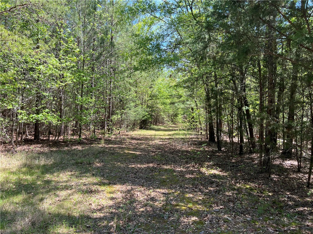 Crawford Road, Due West, South Carolina image 18