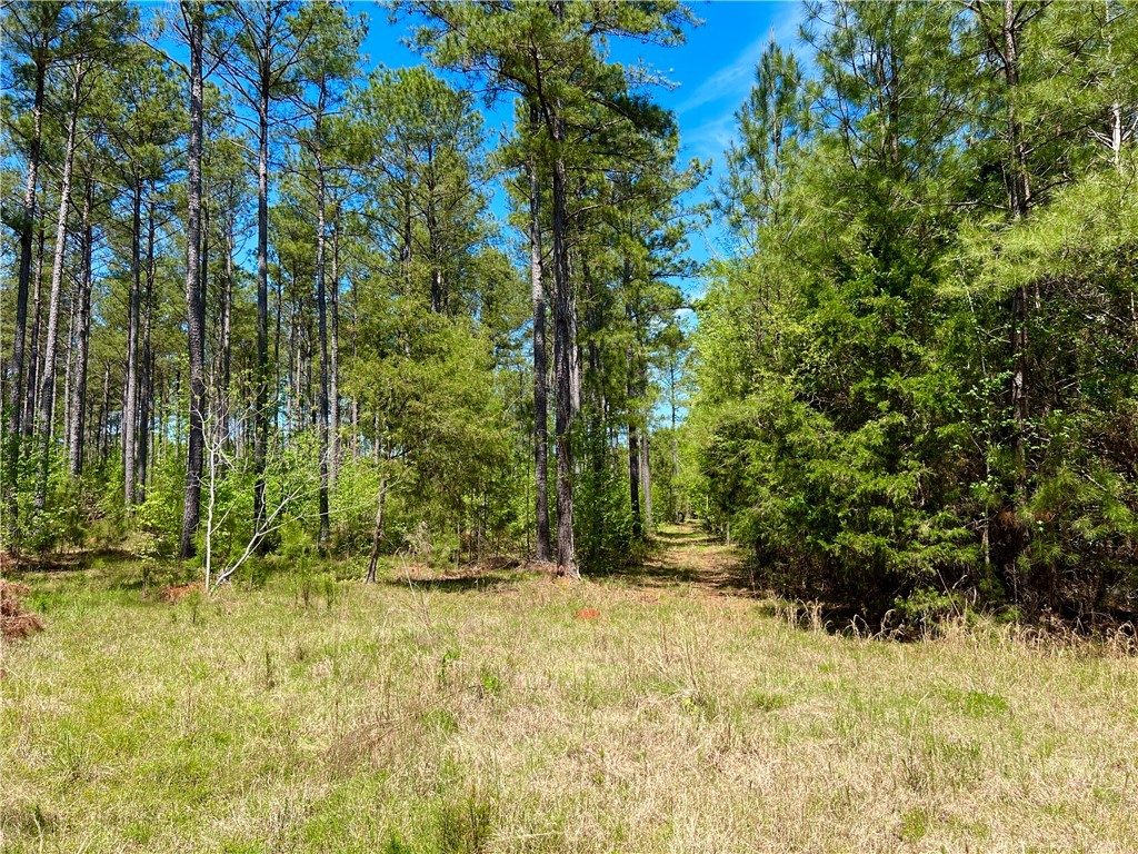 Crawford Road, Due West, South Carolina image 28