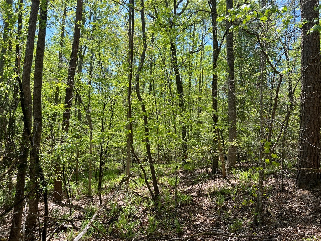Crawford Road, Due West, South Carolina image 29
