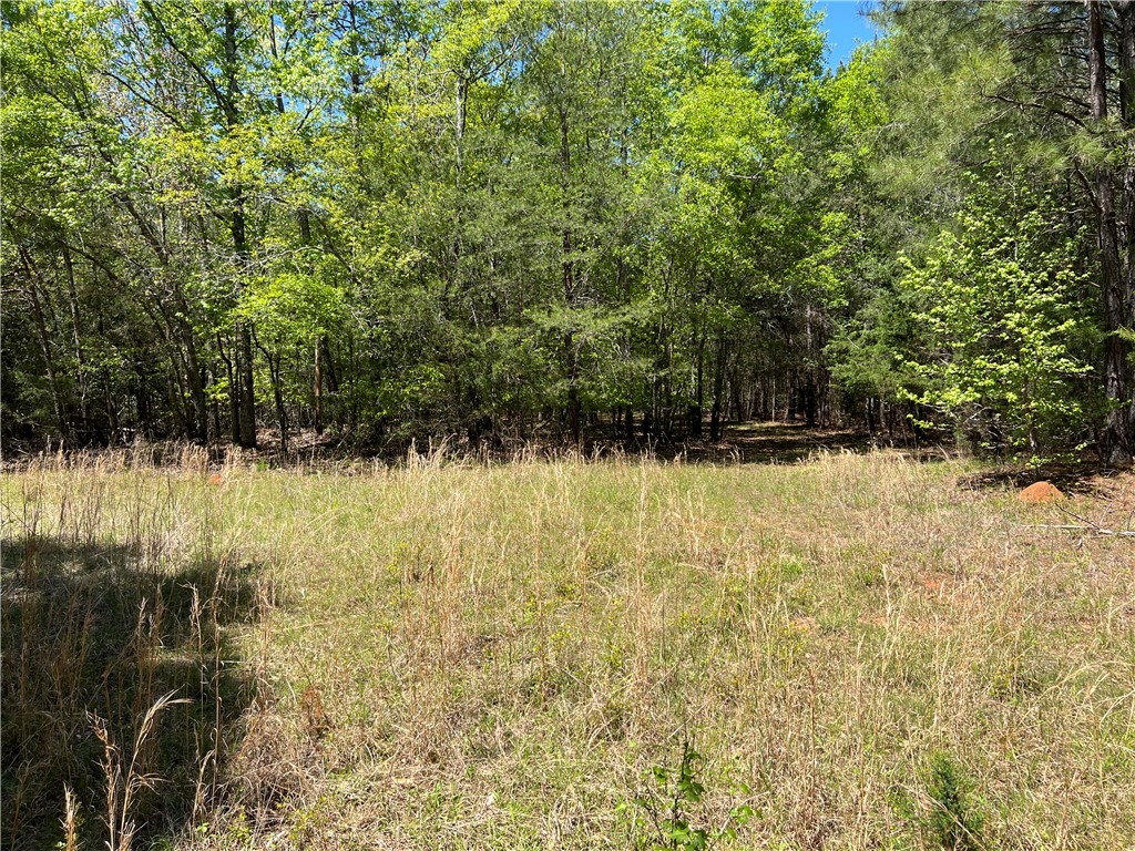 Crawford Road, Due West, South Carolina image 17