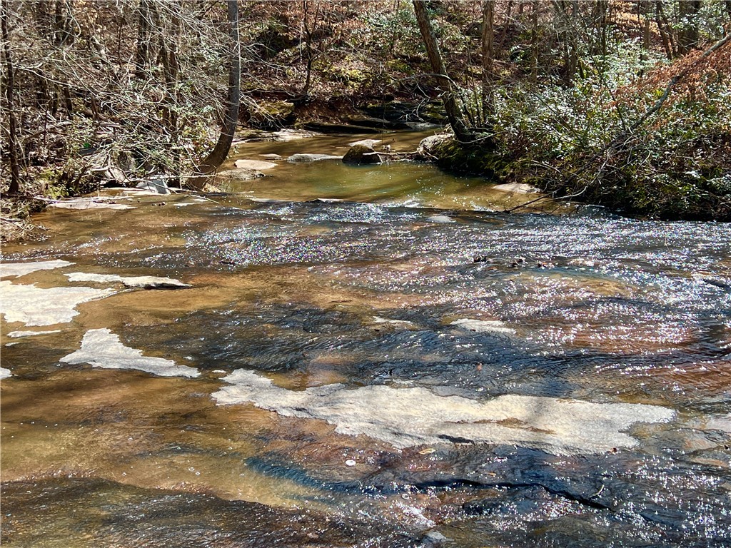 Crawford Road, Due West, South Carolina image 2