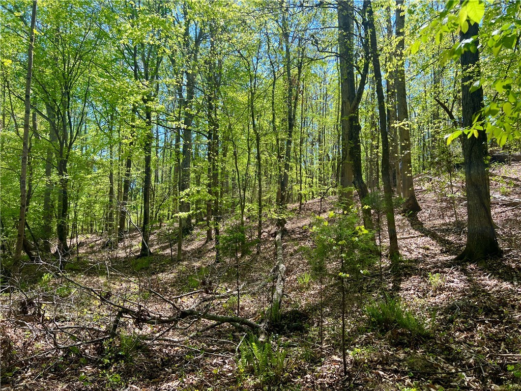 Crawford Road, Due West, South Carolina image 31