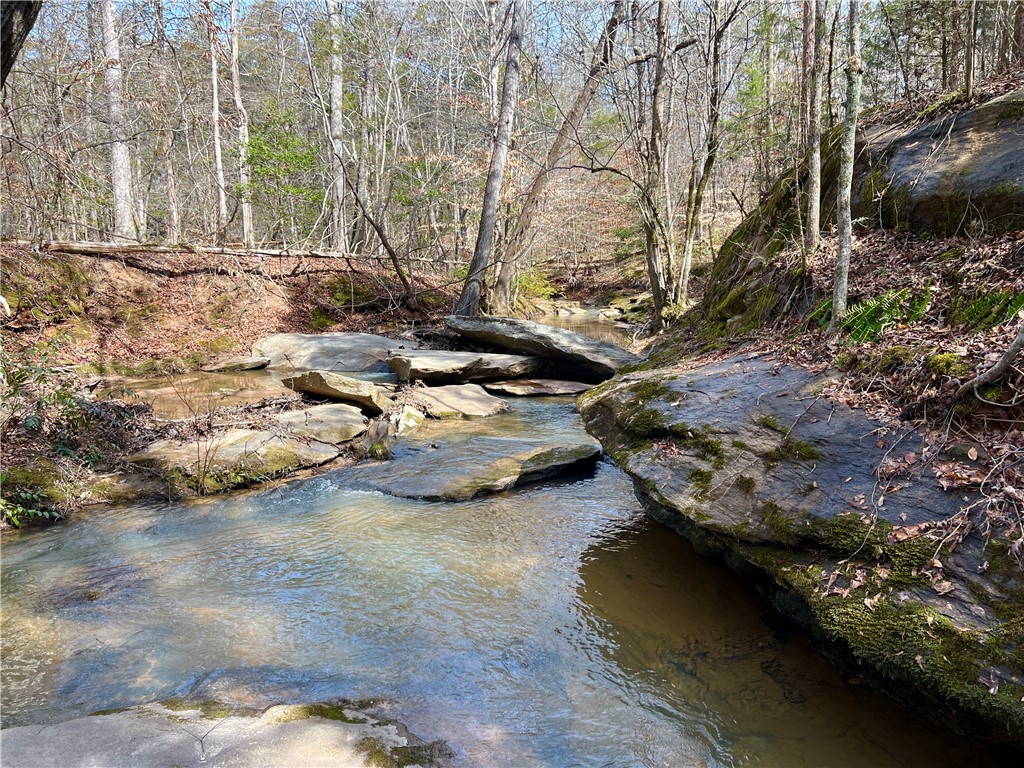 Crawford Road, Due West, South Carolina image 3