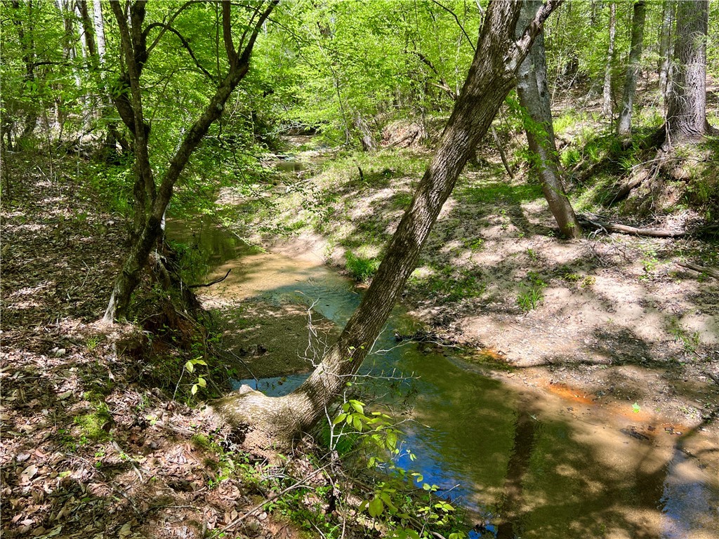 Crawford Road, Due West, South Carolina image 11
