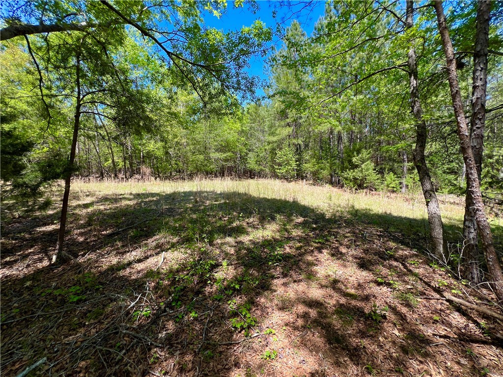 Crawford Road, Due West, South Carolina image 15