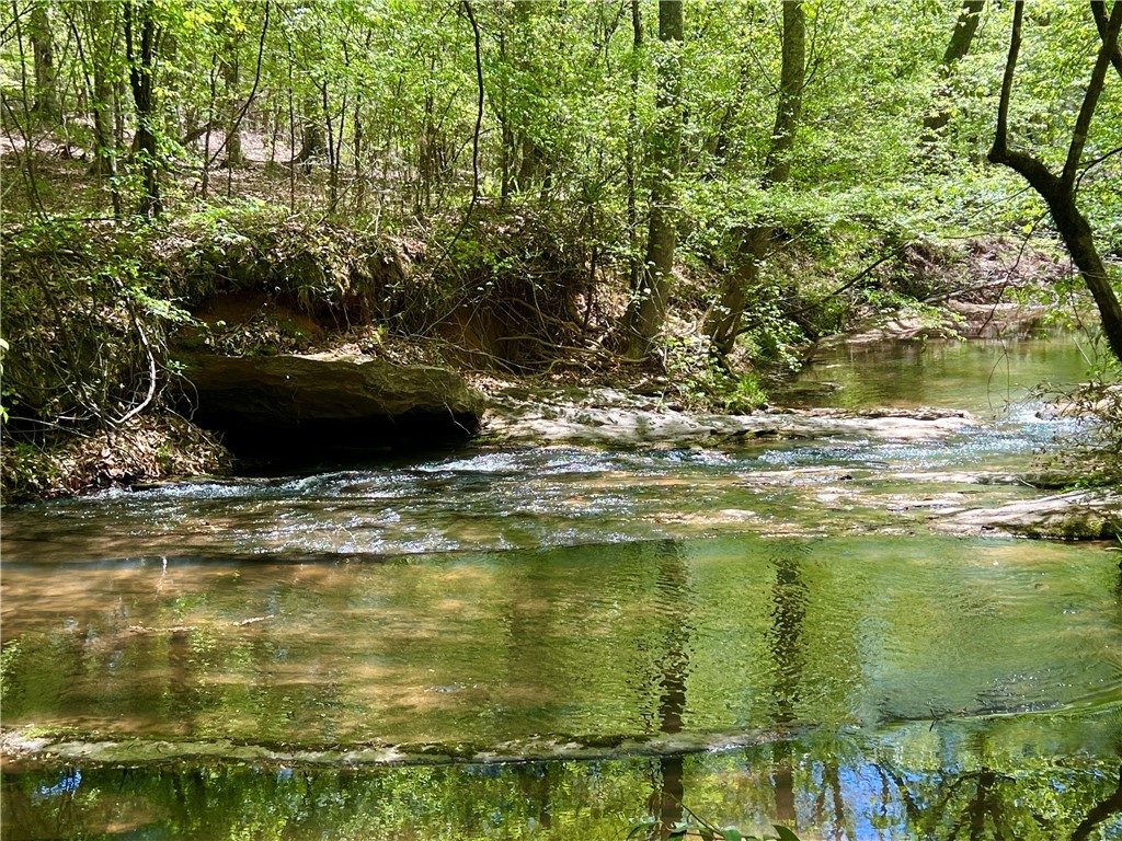 Crawford Road, Due West, South Carolina image 7