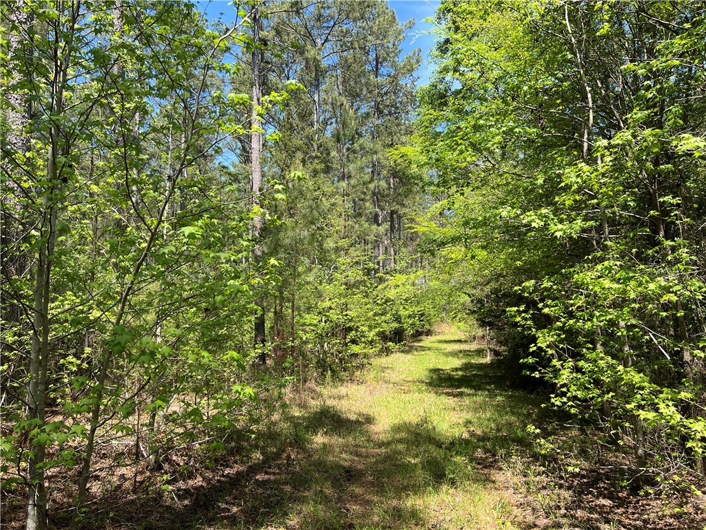 Crawford Road, Due West, South Carolina image 30