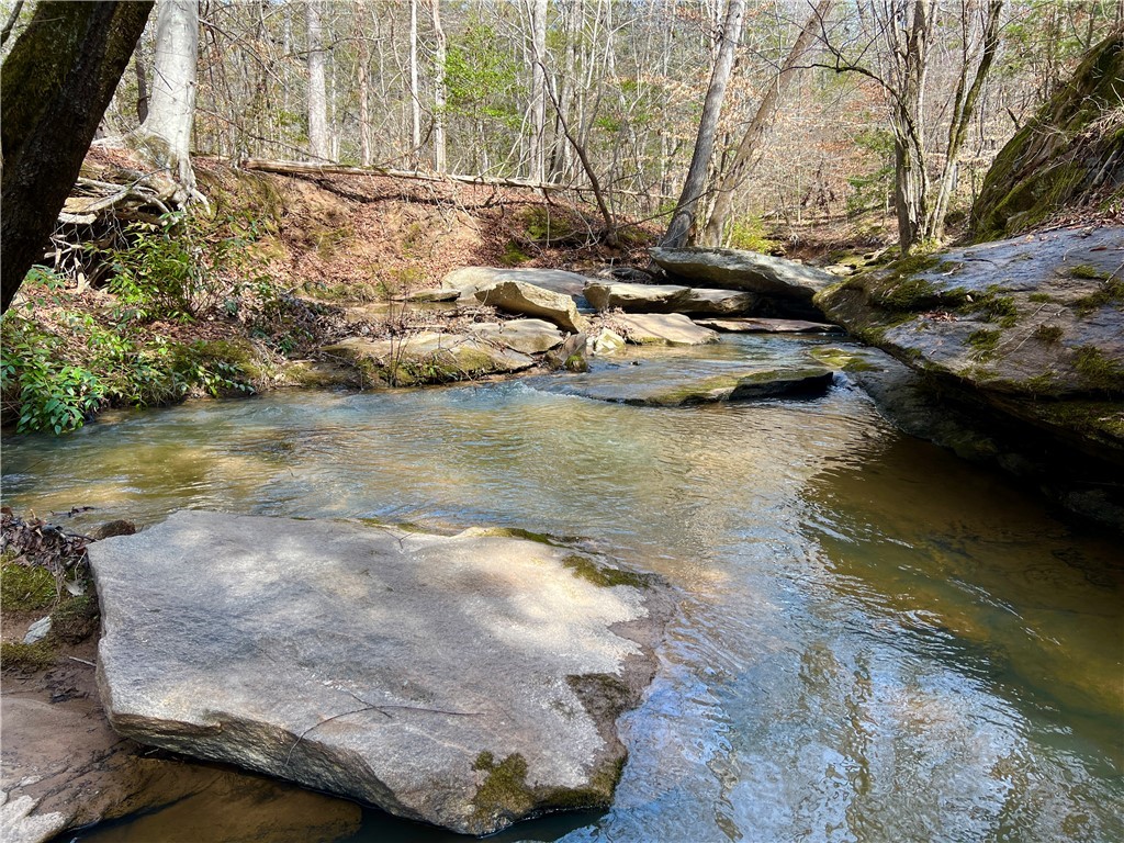 Crawford Road, Due West, South Carolina image 5