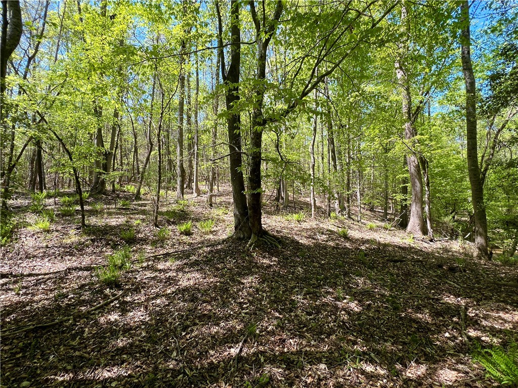 Crawford Road, Due West, South Carolina image 33