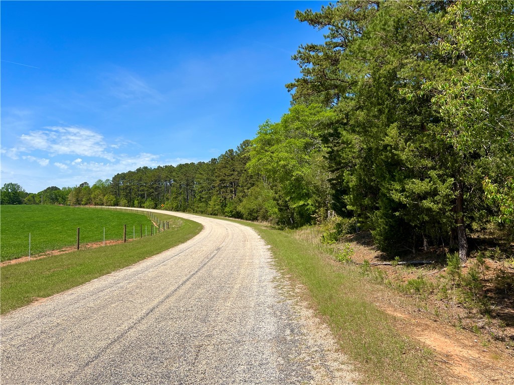 Crawford Road, Due West, South Carolina image 34
