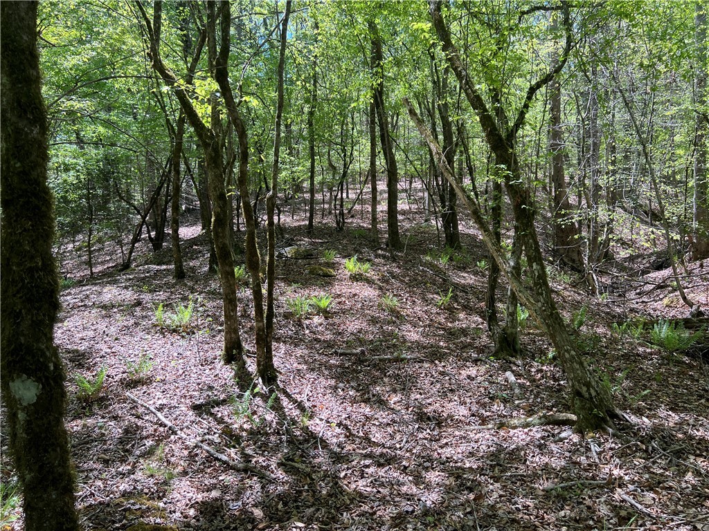 Crawford Road, Due West, South Carolina image 25