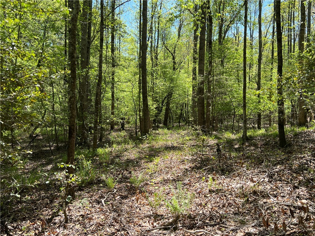 Crawford Road, Due West, South Carolina image 24