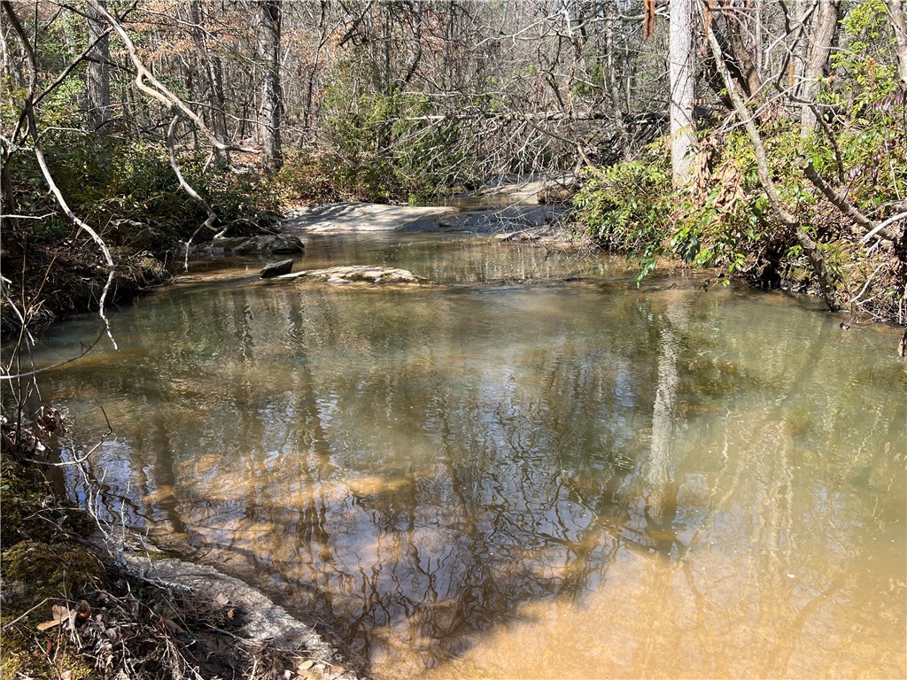 Crawford Road, Due West, South Carolina image 10