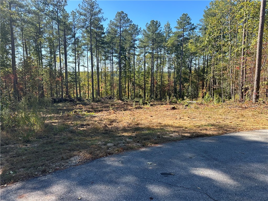 Lot E29 Jocassee Ridge, Salem, South Carolina image 3