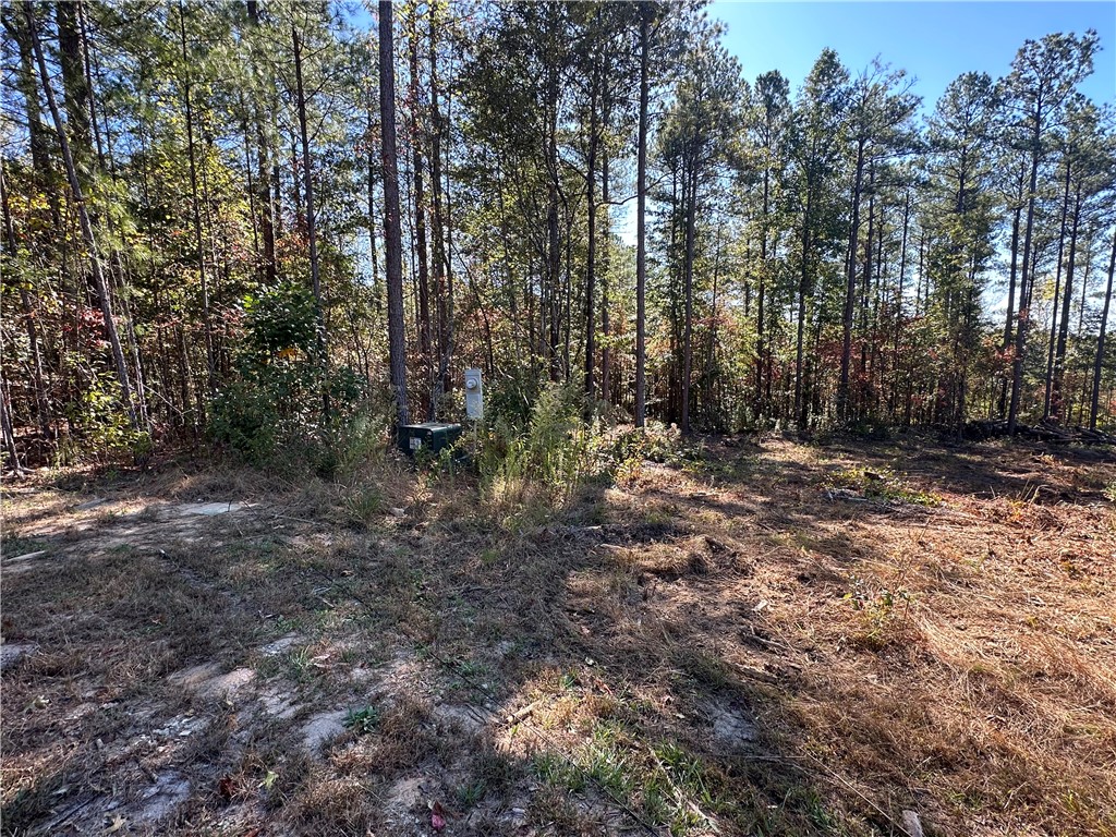 Lot E29 Jocassee Ridge, Salem, South Carolina image 8