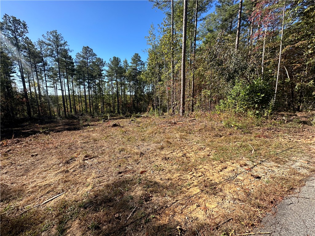Lot E29 Jocassee Ridge, Salem, South Carolina image 1
