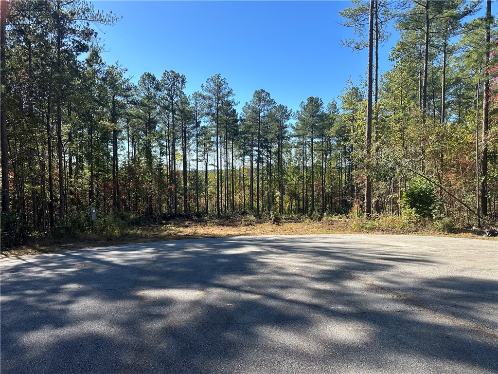 Lot E29 Jocassee Ridge, Salem, South Carolina image 4