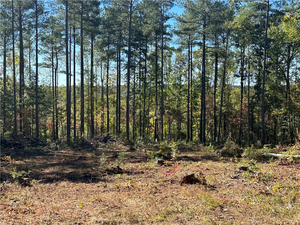 Lot E29 Jocassee Ridge, Salem, South Carolina image 5