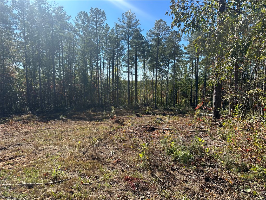 Lot E29 Jocassee Ridge, Salem, South Carolina image 7