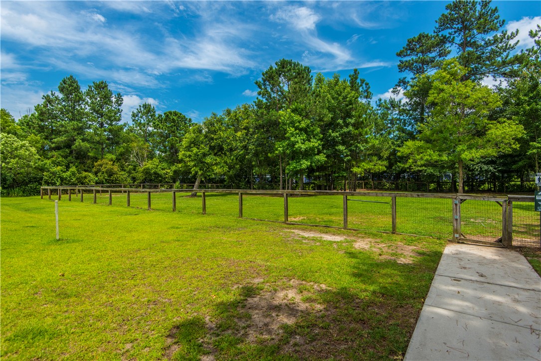 1103 Euclid Drive, Charleston, South Carolina image 20
