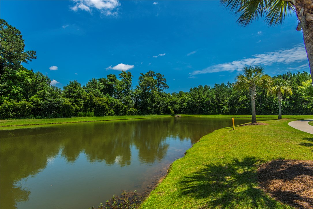 1103 Euclid Drive, Charleston, South Carolina image 24