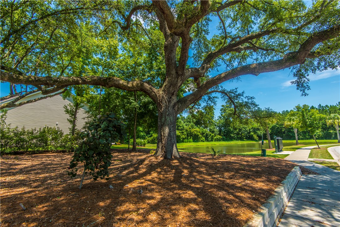 1103 Euclid Drive, Charleston, South Carolina image 22